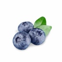 Munda Blueberry [ 125g ]