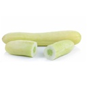 White Cucumber [ 500g ]