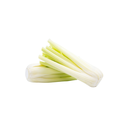 White Celery Salks [ Head ]